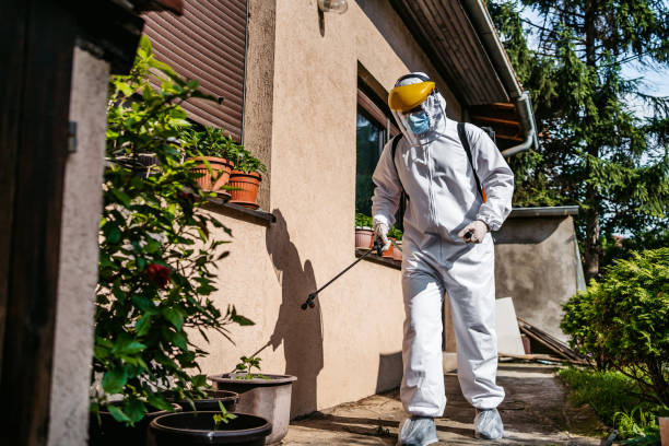 Best Pest Control Near Me in Oswego, NY